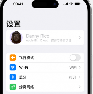 安达appleID维修服务iPhone设置中Apple ID显示为灰色无法使用 