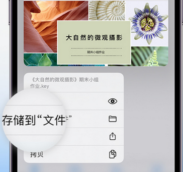 安达apple维修中心分享iPhone文件应用中存储和找到下载文件