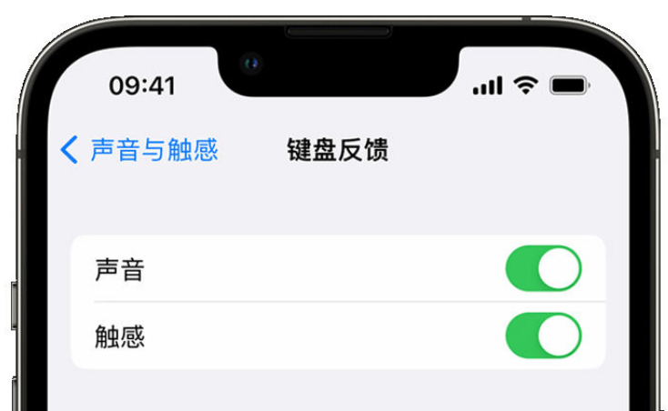 安达苹果手机维修分享iPhone 14触感键盘使用方法 