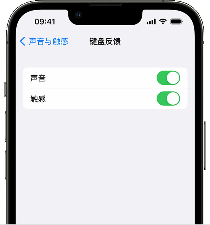 安达苹果14维修店分享如何在 iPhone 14 机型中使用触感键盘 