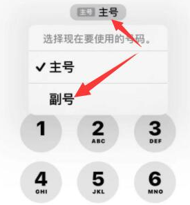 安达苹果14维修店分享iPhone 14 Pro Max使用副卡打电话的方法 