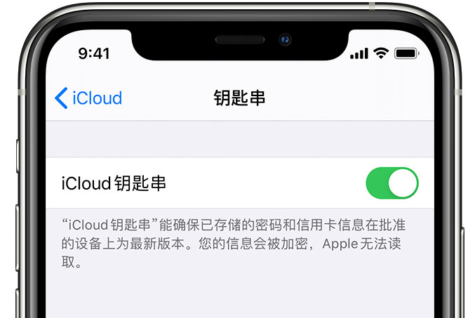 安达苹果手机维修分享在 iPhone 上开启 iCloud 钥匙串之后会储存哪些信息 