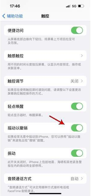 安达苹果手机维修分享iPhone手机如何设置摇一摇删除文字 