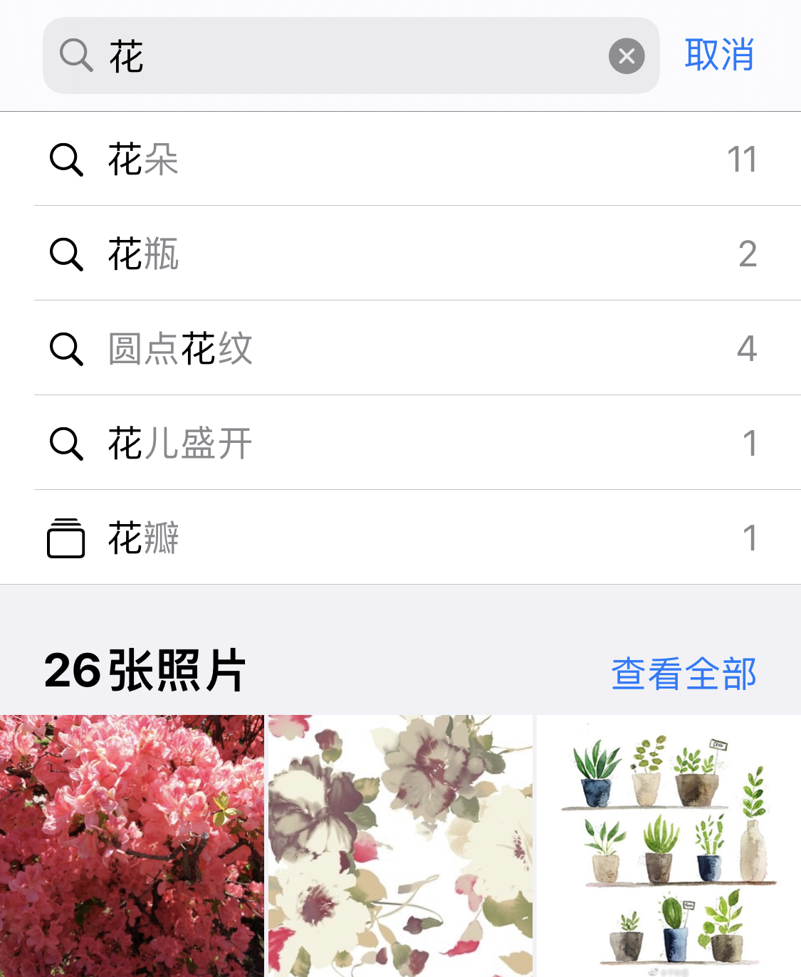 安达苹果手机维修分享iPhone 小技巧 
