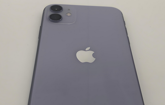 安达苹果11系统维修分享iPhone11手机系统崩溃无法开机如何解决