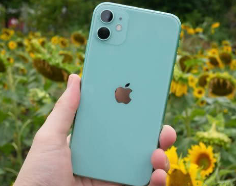 安达苹果维修点分享iPhone 11锁屏密码认知与使用科普 